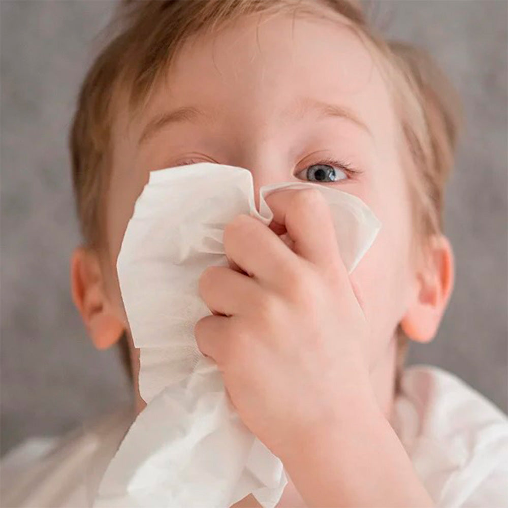 Lenço Umedecido 100un Baby Softly Com Vitaminas A e C, Aloe Vera e Camomila